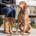 Bild in Galerie-Betrachter laden, Das BE NORDIC Spaziergangs-Set ist die perfekte Kombination aus Halsband und Leine für stressfreie und stilvolle Ausflüge mit deinem Hund. Ideal für Hundebesitzer, die Wert auf Komfort, Funktionalität und nordisches Design legen.