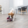 Bild in Galerie-Betrachter laden, Dog Activity Schnüffelball Trixie