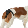 Bild in Galerie-Betrachter laden, Das Hygienehöschen ist eine verlässliche Lösung für die empfindlichen Tage während der Läufigkeit. Mit seinen praktischen Klettverschlüssen kannst du es schnell und einfach anlegen, ohne die Rute zu beeinträchtigen. So bleibt dein Hund bequem und geschützt.