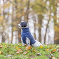 Bild in Galerie-Betrachter laden, Dank des grosszügigen Beinausschnitts kann dein Hund sich problemlos bewegen und herumtollen, während der Pullover ihn kuschelig warm hält.