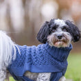 Bild in Galerie-Betrachter laden, Dank des grosszügigen Beinausschnitts kann dein Hund sich problemlos bewegen und herumtollen, während der Pullover ihn kuschelig warm hält.
