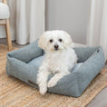 Bild in Galerie-Betrachter laden, Das Hundebett Viviana in blau-grau aus der HOME Edition überzeugt durch seine luxuriöse Webstoff- und Samt-Haptik. Der Bezug und die Polyestervlies-Füllung sorgen für optimalen Liegekomfort.