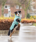 Bild in Galerie-Betrachter laden, Der Hundemantel CityStyle Oslo aus recyceltem Material bietet deinem Hund optimalen Schutz bei Wind und Wetter.
