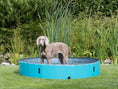 Bild in Galerie-Betrachter laden, Der Hundepool blau von Trixie macht genau das möglich! Dank robuster MDF-Wände und einem rutschfesten Boden ist der Badespass sicher und bequem.