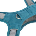 Bild in Galerie-Betrachter laden, Das Premium Active Hundegeschirr wurde speziell für aktive Hunde entwickelt, die draussen alles geben – und dabei optimal geschützt sein sollen.