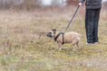 Bild in Galerie-Betrachter laden, Premium FlexMesh Hundegeschirr wide fit Trixie