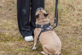 Bild in Galerie-Betrachter laden, Premium FlexMesh Hundegeschirr wide fit Trixie