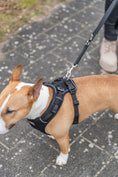 Bild in Galerie-Betrachter laden, Premium FlexMesh Hundegeschirr wide fit Trixie