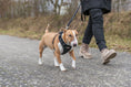 Bild in Galerie-Betrachter laden, Premium FlexMesh Hundegeschirr wide fit Trixie