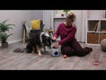 Video in Galerie-Betrachter laden und wiedergeben, Dog Activity Strategiespiel Ball & Treat Trixie