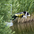 Bild in Galerie-Betrachter laden, Die Schwimmweste für Hunde in Gelb/Schwarz sorgt für Sicherheit bei Ausflügen ans oder ins Wasser, ob beim Schwimmen, Spielen oder auf dem Boot.