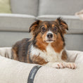 Bild in Galerie-Betrachter laden, Das CityStyle Vital Hundebett bietet orthopädischen Komfort im edlen Bouclé-Look.