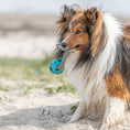 Bild in Galerie-Betrachter laden, Hergestellt aus TPE, Polyester und Naturgummi ist dieses robuste Spielzeug ideal für aktive Hunde. Die wabenartige Struktur sorgt für Atmungsfreiheit beim Tragen, das Seil lädt zum Zerren und Werfen ein. Ob am See, im Garten oder unterwegs – durch die leuchtende Farbe bleibt der Ball gut sichtbar und schwimmt sogar auf dem Wasser.