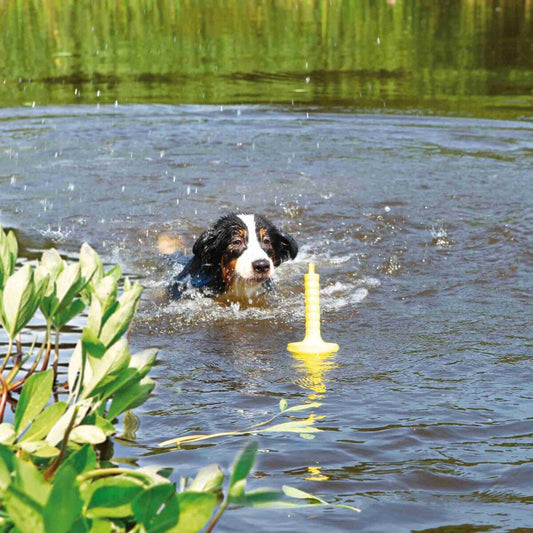 Dog Activity MOT-Aqua Trixie