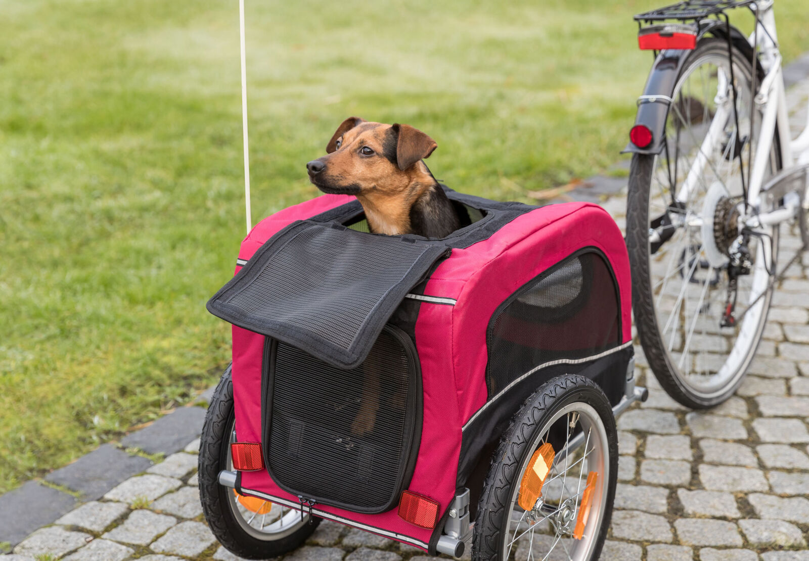 Fahrrad-Anhänger für Hunde Trixie