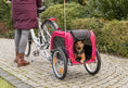 Bild in Galerie-Betrachter laden, Fahrrad-Anhänger für Hunde Trixie
