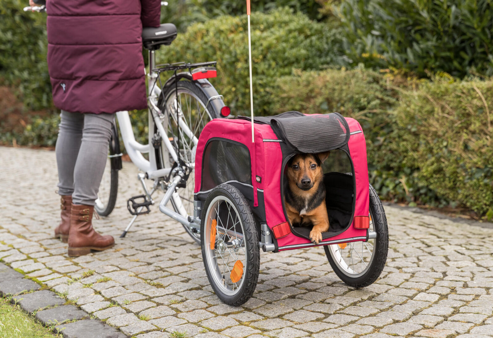 Fahrrad-Anhänger für Hunde Trixie