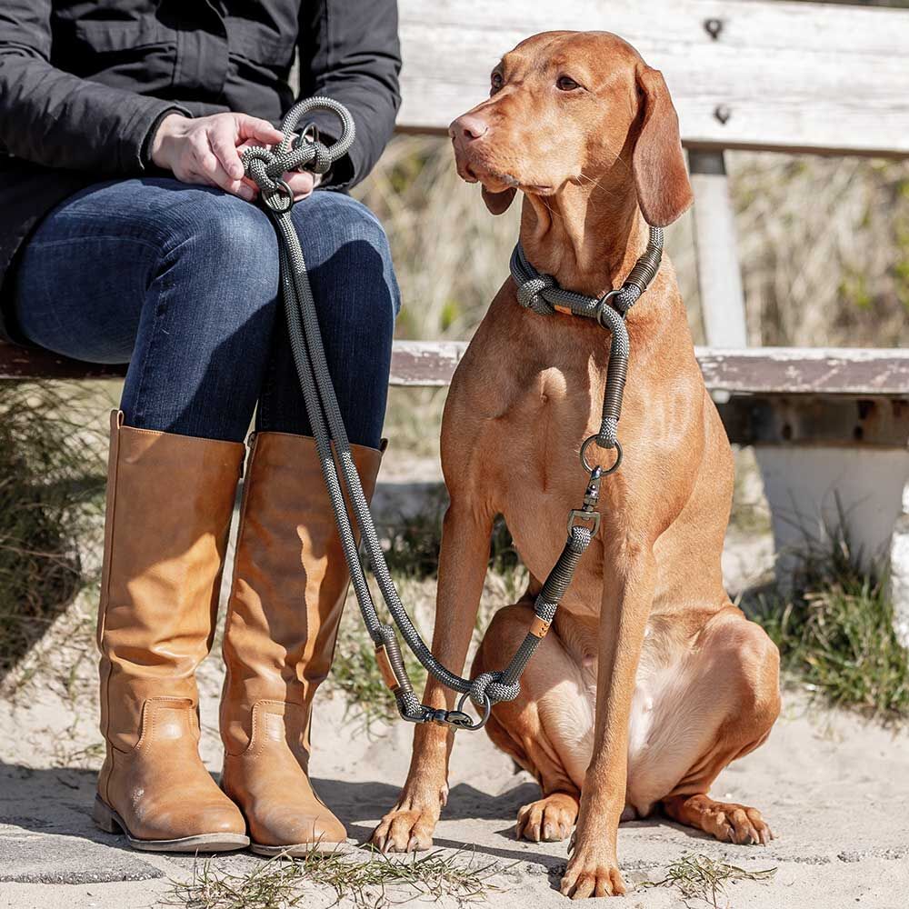 Das BE NORDIC Spaziergangs-Set ist die perfekte Kombination aus Halsband und Leine für stressfreie und stilvolle Ausflüge mit deinem Hund. Ideal für Hundebesitzer, die Wert auf Komfort, Funktionalität und nordisches Design legen.