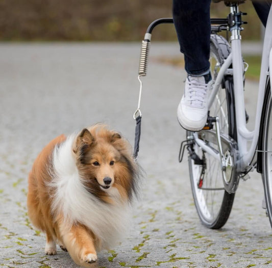 Ideal für kleine und mittelgrosse Hunde: Das durchdachte System hält deinen Hund auf sicherem Abstand zur Pedale, reflektierende Elemente erhöhen die Sichtbarkeit im Strassenverkehr.