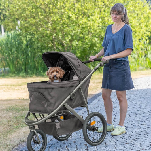 Der Buggy für Hunde in schwarz von Trixie ist die perfekte Lösung, wenn dein Vierbeiner nicht mehr so lange laufen kann oder sich unterwegs eine Pause wünscht.