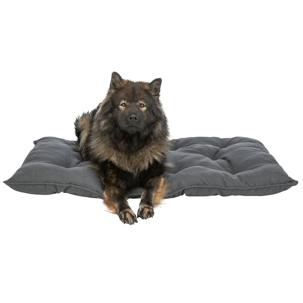  Das Caliente Hundekissen (eckig) macht genau das möglich – kuschelweicher Komfort und waschbar bis 95 °C für ein rundum sauberes Wohlfühlgefühl. 