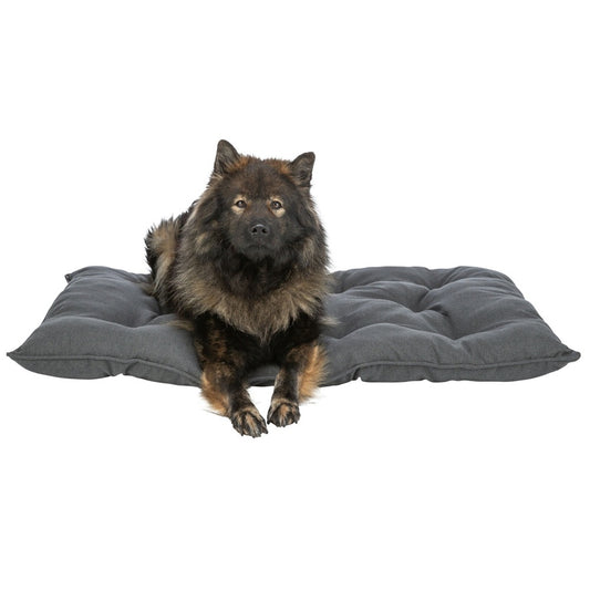  Das Caliente Hundekissen (eckig) macht genau das möglich – kuschelweicher Komfort und waschbar bis 95 °C für ein rundum sauberes Wohlfühlgefühl. 