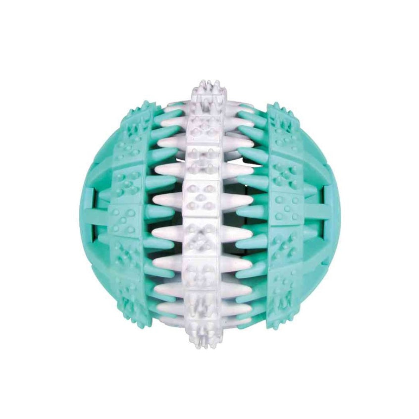Der DENTAfun Ball Mintfresh verbindet Spielvergnügen mit gesunder Zahnpflege. 