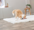 Bild in Galerie-Betrachter laden, Hundespielzeug Drache am Tau Trixie
