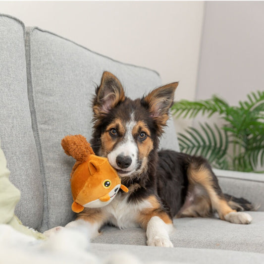 Das geräuschlose Kuscheltier aus sanftem Plüsch mit Memory-Effekt lädt zum Spielen ein und beruhigt die Seele. 