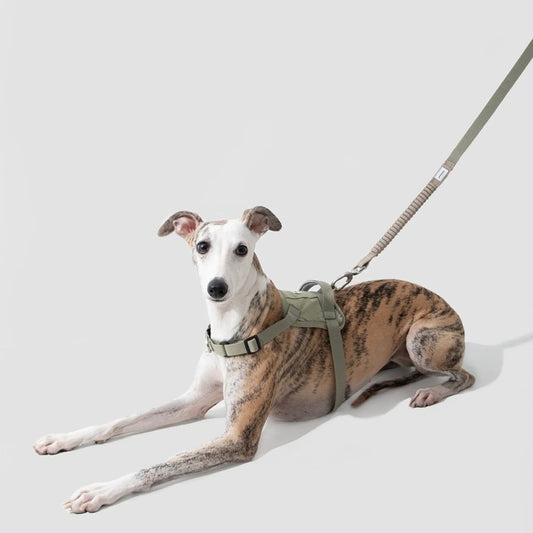 Das HiDream™ Hundegeschirr Valley überzeugt mit einem ergonomischen Design, das den Halsbereich schont und Ziehen verhindert.