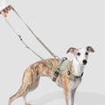 Bild in Galerie-Betrachter laden, Das HiDream™ Hundegeschirr Valley überzeugt mit einem ergonomischen Design, das den Halsbereich schont und Ziehen verhindert.
