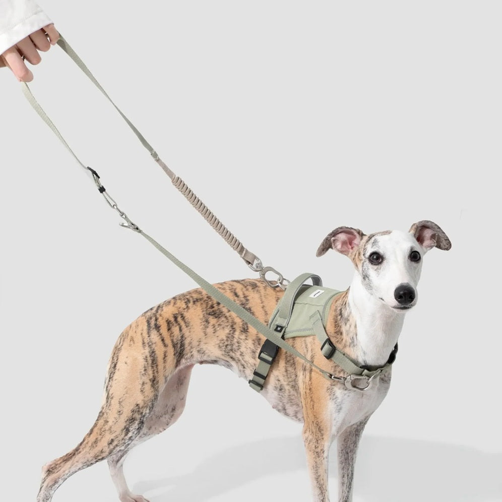 Das HiDream™ Hundegeschirr Valley überzeugt mit einem ergonomischen Design, das den Halsbereich schont und Ziehen verhindert.