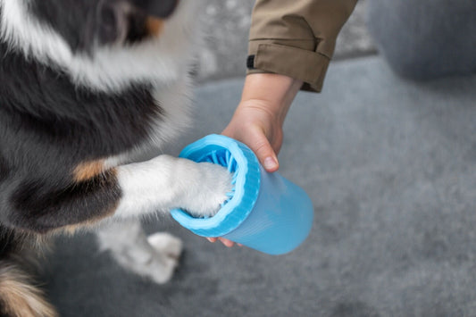 Mit dem Pfotenreiniger bleibt dein Boden sauber und dein Hund fühlt sich rundum wohl. Die weichen Silikonborsten reinigen nicht nur gründlich, sondern massieren die Pfoten deines Hundes angenehm – ein wahres Wohlfühl-Erlebnis für Hunde.