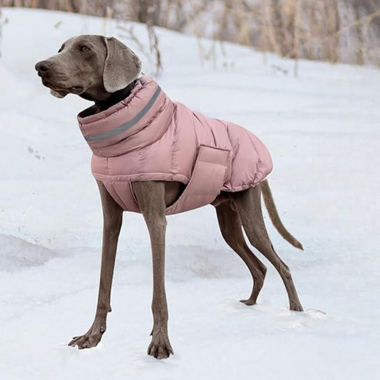 Stell dir vor, dein Hund geniesst die winterlichen Spaziergänge in vollem Komfort und wohliger Wärme! Der ComfortDog™ Hunde Wintermantel ist leicht und schützt deinen Liebling zuverlässig vor Regen und Kälte.