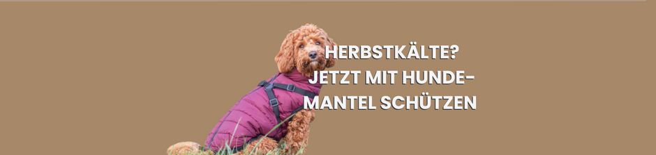 kategorie mit hundemäntel