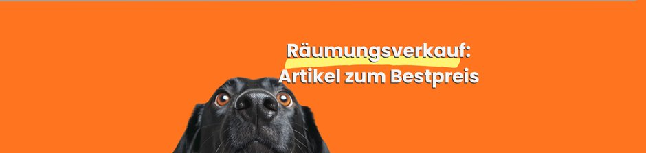 artikel zum bestpreis