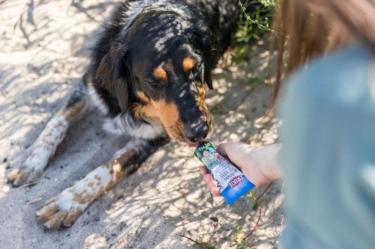 Diese Futterpaste mit leckerer Leberwurst und natürlichem Hanf macht genau dann den Unterschied. Sie überzeugt mit intensivem Geschmack, einem grossen Belohnungseffekt und hilft dir, Medikamente stressfrei zu verabreichen. 