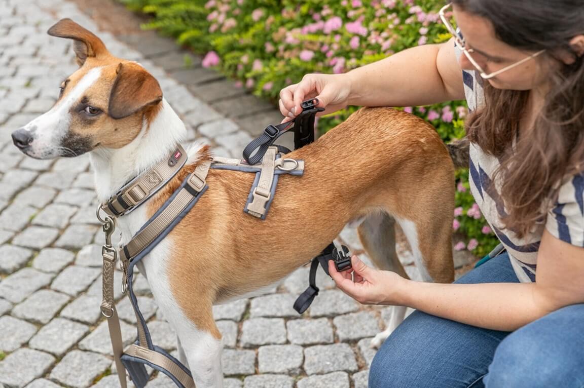Genau hier hilft der Panik-Adapter Stay: Er verwandelt dein vorhandenes Führgeschirr im Handumdrehen in ein sicheres Panikgeschirr mit festem Sitz. 