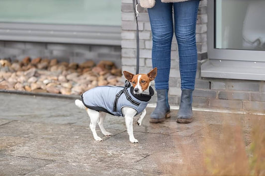 Der Pontis Geschirr-Hundemantel schützt deinen Vierbeiner zuverlässig mit Fleecefutter und leichter Wattierung vor Kälte.