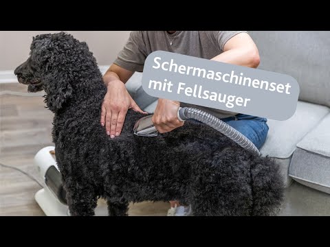 TRIXIE Schermaschinenset mit Fellsauger - Fellpflege komfortabel und sauber