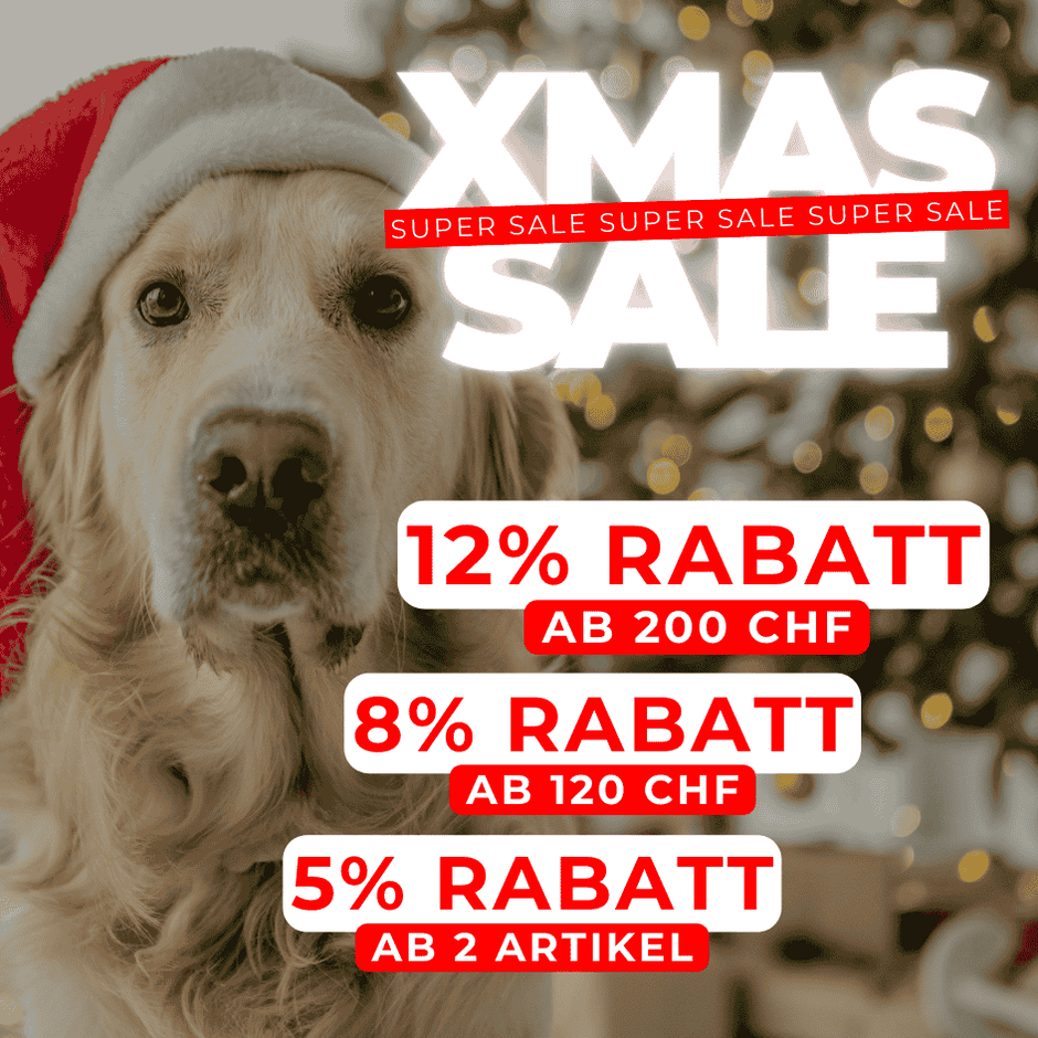 Promotion Weihnachtssale