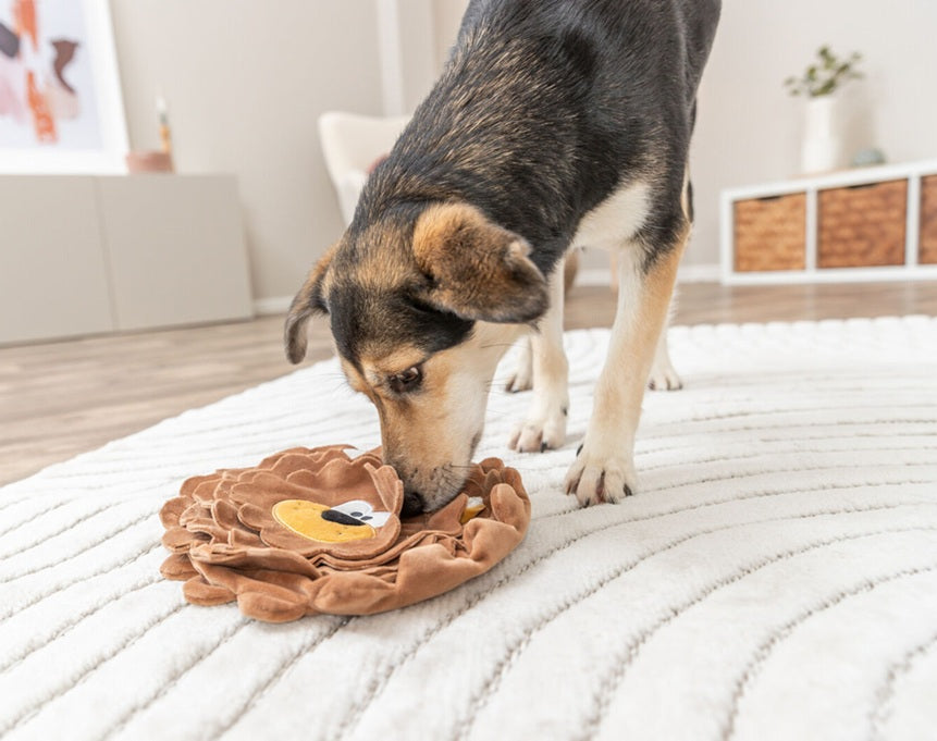 Der Snack-Löwe lässt sich mit Snacks befüllen und sorgt dank integriertem Knistern für extra Spielspass.