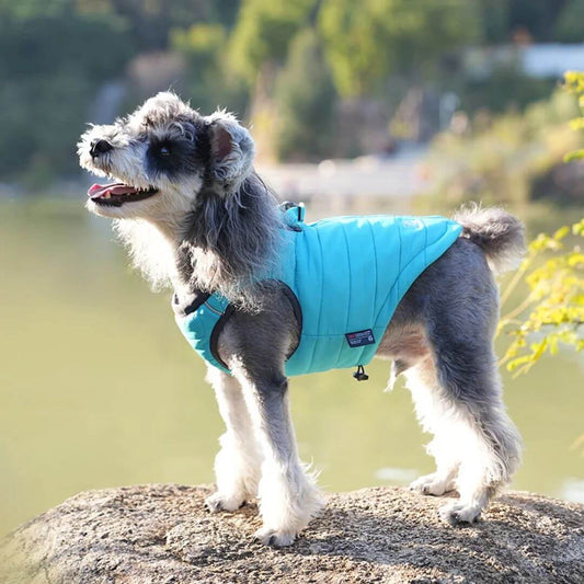 Der TrueLove™ Geschirr-Hundemantel bietet eine ideale Lösung, um deinen Hund bei kaltem Wetter kuschelig warm und bequem zu halten.