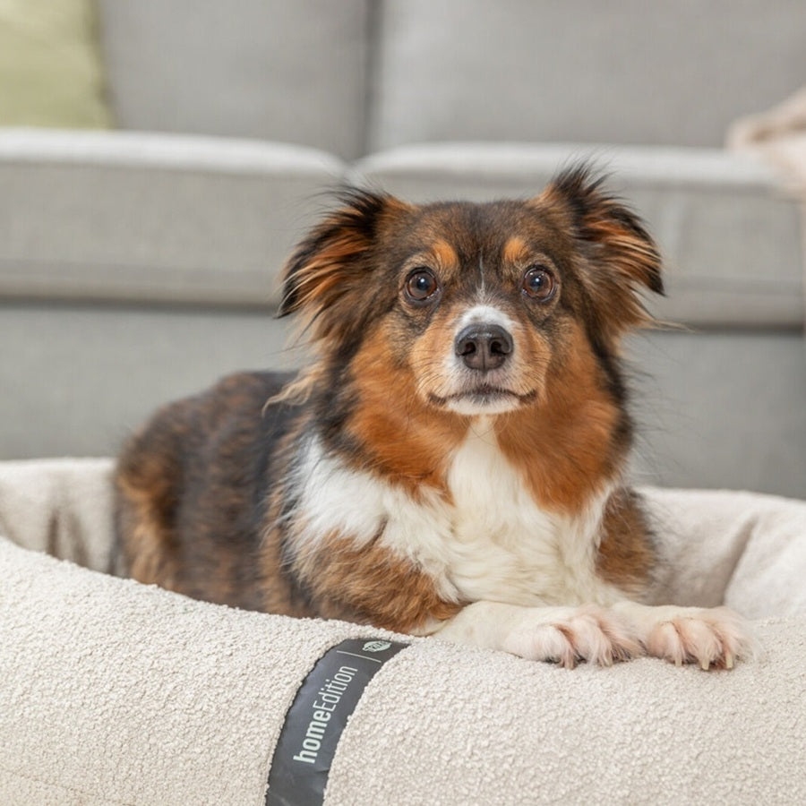 Das CityStyle Vital Hundebett bietet orthopädischen Komfort im edlen Bouclé-Look. 