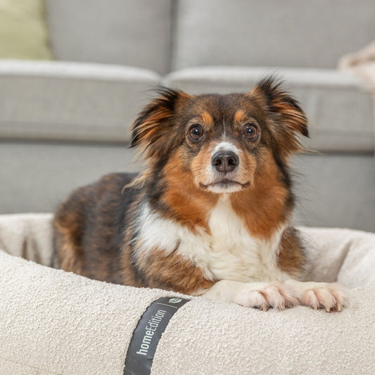 Das CityStyle Vital Hundebett bietet orthopädischen Komfort im edlen Bouclé-Look. 